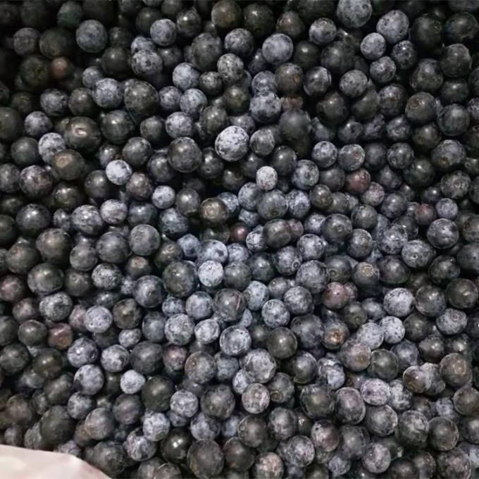 Gro&szlig;handel Chinesische Iqf Gefrorene Beeren IQF Gefrorene Blaubeere f&uuml;r den Export mit Gutem Preis Blaubeere 2