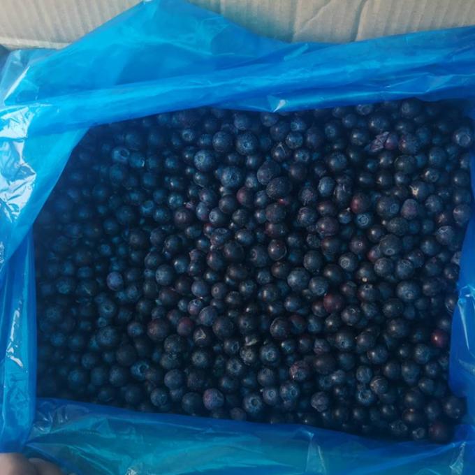 Gro&szlig;handel Chinesische Iqf Gefrorene Beeren IQF Gefrorene Blaubeere f&uuml;r den Export mit Gutem Preis Blaubeere 3