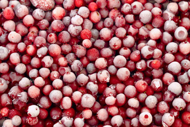Warm verkaufen Neue Ernte Iqf Gefrorene Masse Rote Lingonberry in Gefrorene Fr&uuml;chte Massenverpackung 2