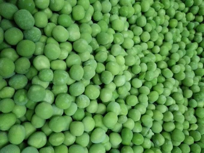 Großhandelslieferant für IQF-Tiefkühl-Erbsen, 10 kg, verpackt in 400 g 0