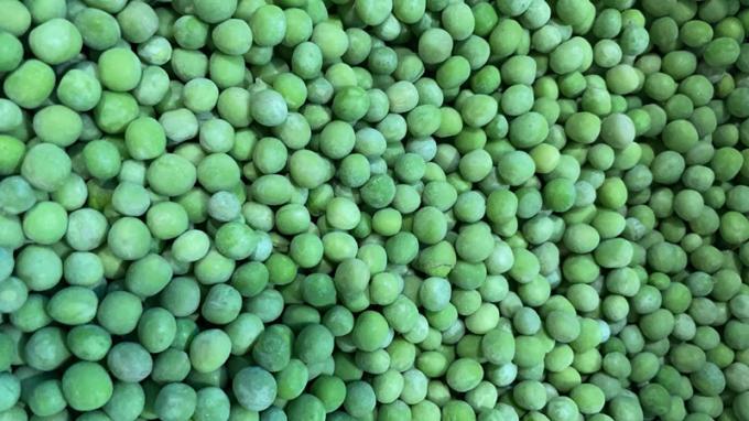 Großhandelslieferant für IQF-Tiefkühl-Erbsen, 10 kg, verpackt in 400 g 2