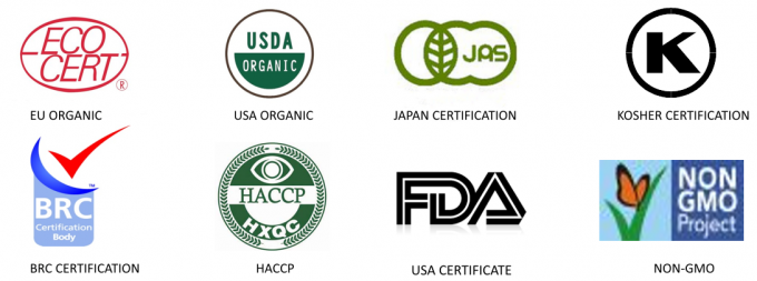Werkseitig zertifizierte Qualit&auml;tsherstellung IQF-gefrorener Spargel 10