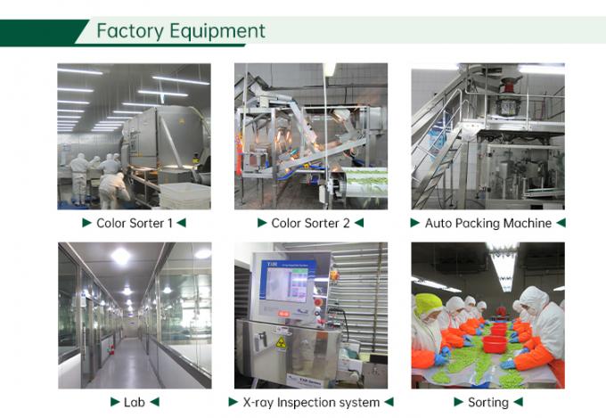 IQF gefrorenes Gem&uuml;semisch Frisches Gem&uuml;semisch 6
