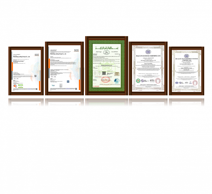 Hochwertige, tiefgek&uuml;hlte, entbeinte H&auml;hnchenbrust, exportfertig in Gro&szlig;verpackung 3