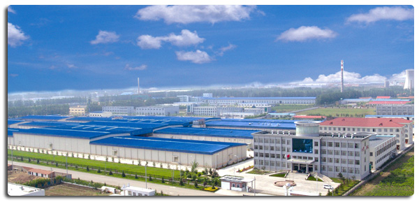 Hochwertige, tiefgek&uuml;hlte, entbeinte H&auml;hnchenbrust, exportfertig in Gro&szlig;verpackung 4