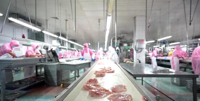 Hochwertige, tiefgek&uuml;hlte, entbeinte H&auml;hnchenbrust, exportfertig in Gro&szlig;verpackung 6