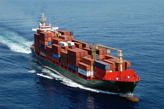 Hochwertige, tiefgek&uuml;hlte, entbeinte H&auml;hnchenbrust, exportfertig in Gro&szlig;verpackung 11